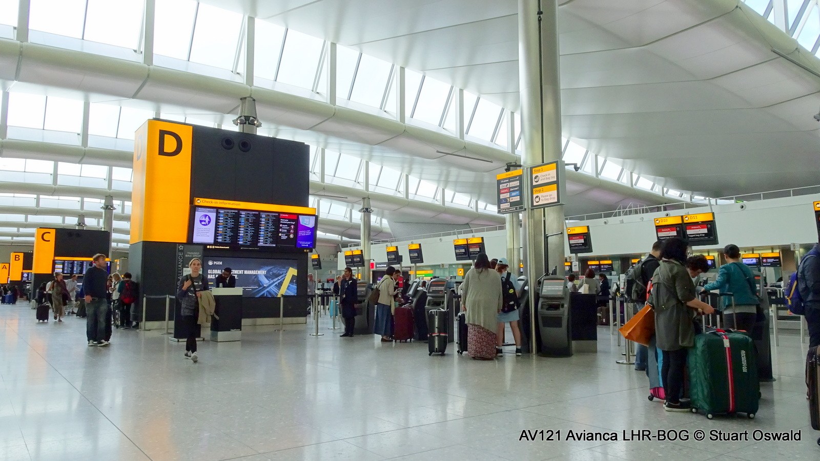 avianca checked baggage