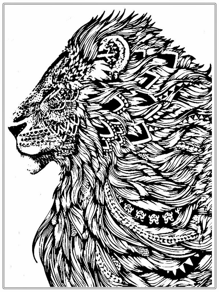 Realistic Lion Adult Coloring Pages Free  Realistic Coloring Pages