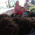 Ditengah Pandemik dan Hujan Deras Petani Rumput Laut di Bantaeng Merugi