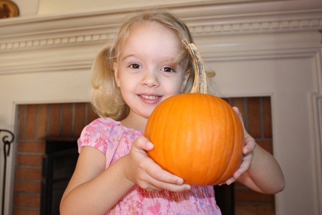 Life with Lucie & Ella: How to Make No-Sew Fabric Pumpkins