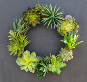 Decoração de Natal com Suculentas Guirlanda de Natal com Suculentas