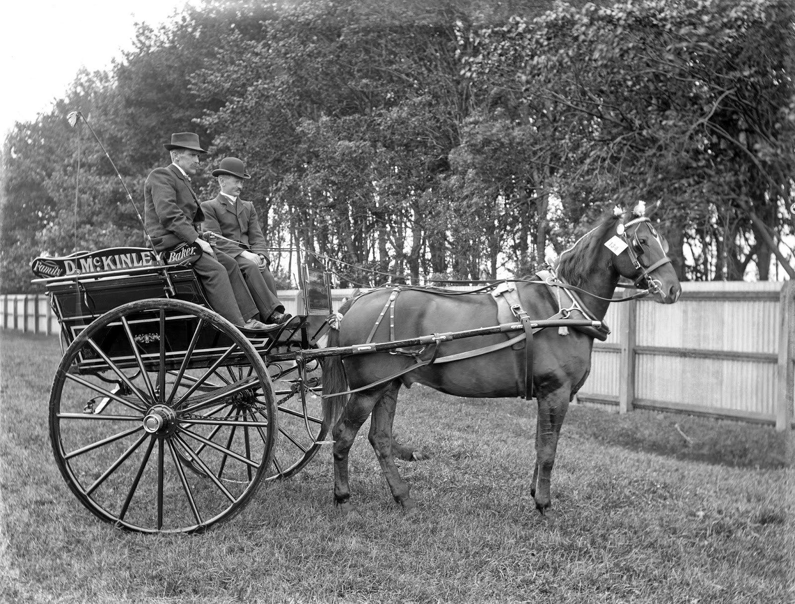 History in Photos Horse and Buggy