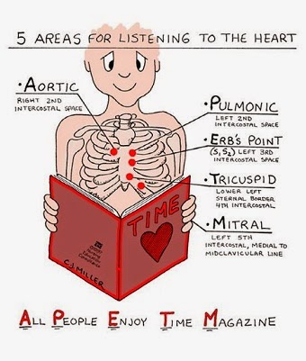listening to heart sounds listening to heart sounds