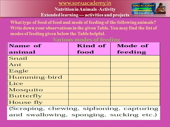 SONU ACADEMY: NUTRITION IN ANIMALS : (Activity)