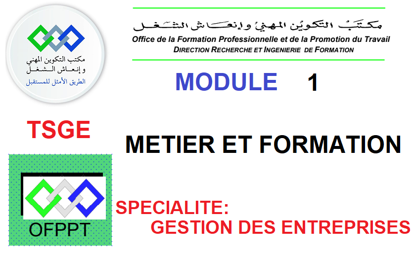 M01 Metier Et Formation Tsge