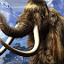Scientists Ambitious Project Recreate Extinct Animals