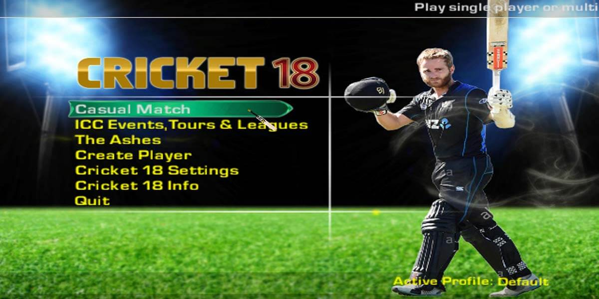 EA Sports Cricket 2018 New Game for PC Download EA Cricket 2018