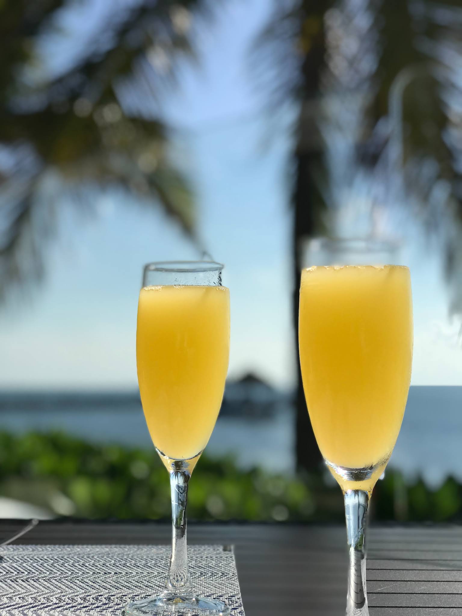 Top 10 Most Popular Orange Juice Cocktails
