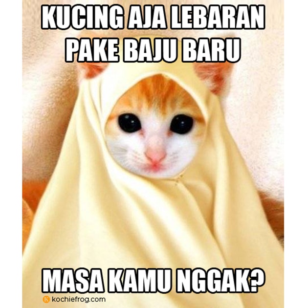 Kumpulan Gambar Meme Baju Lebaran, Bikin Sakit Perut Liatnya