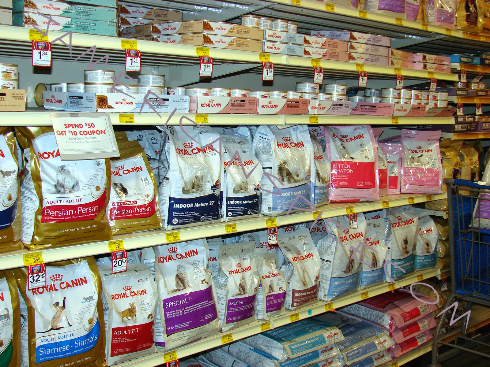 Jamericanspice The Royalcanin Nutrition For Your Pets Tips On