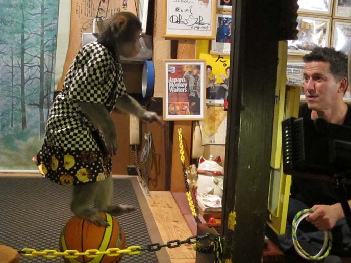 Amazing restaurant where monkey is waiter TRAVEL THE WORLD