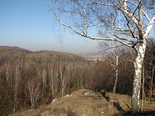 Widok spod zachodniej furty zamkowej