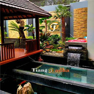 jasa tukang kolam ikan koi dan kolam minimalis tianggadha art