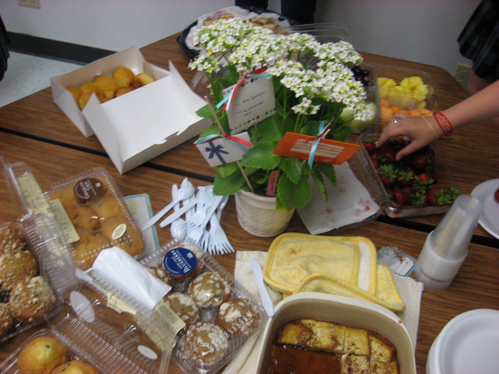 daily-dose-of-joy-bible-study-celebration