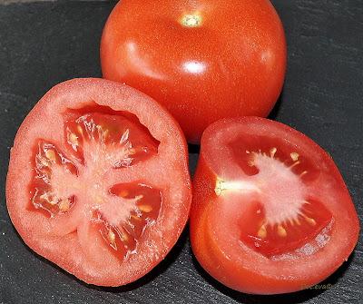 Tomate (Solanum lycopersicum L.)
