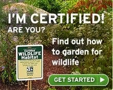 National Wildlife Federation