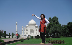 Taj Mahal, India 2010