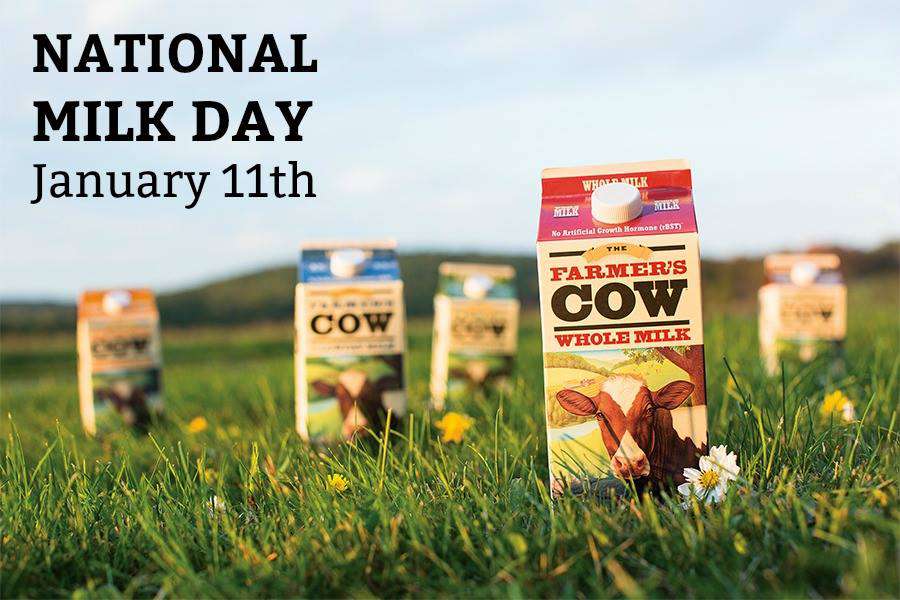 National Milk Day Wishes Beautiful Image