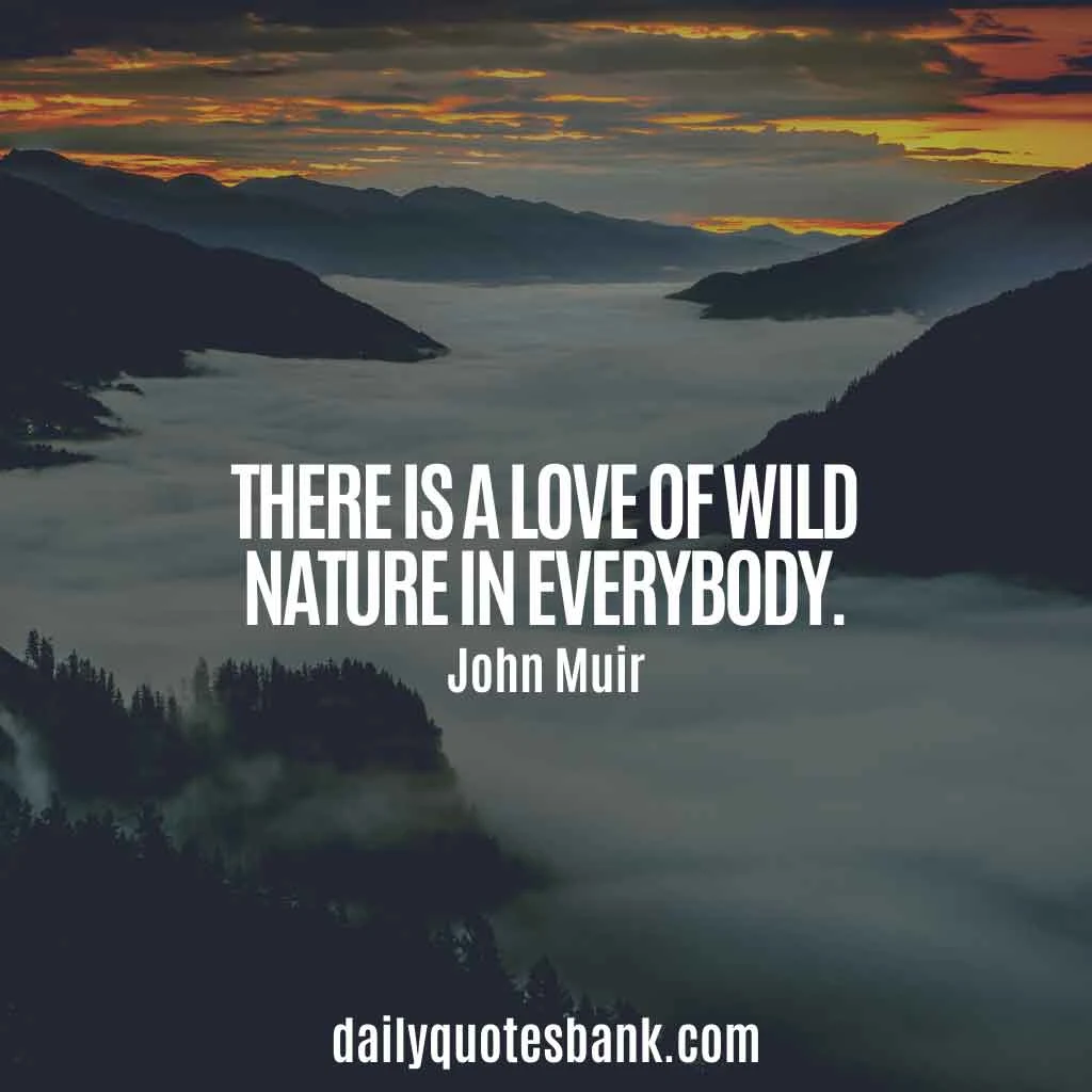 John Muir Quotes About Mountains, Trees, Nature, Alaska
