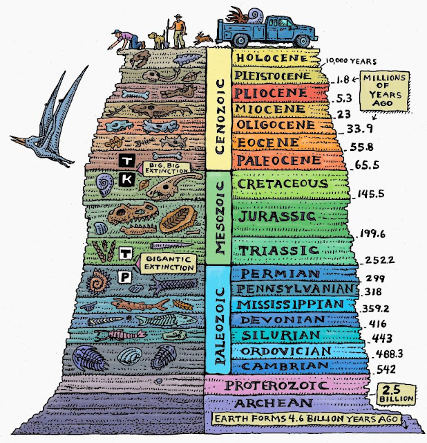 10 Interesting Facts About the Geological Time Scale