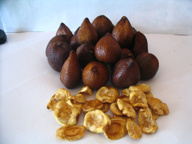 BUAH SALAK UNTUK PRODUK OLAHAN | BUAH SALAK DAN PERKEMBANGANNYA