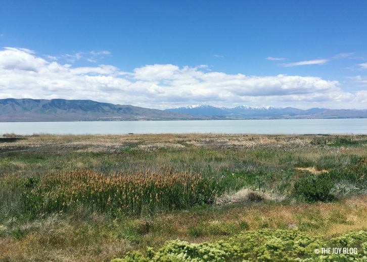 Spring at Utah Lake THE JOY BLOG
