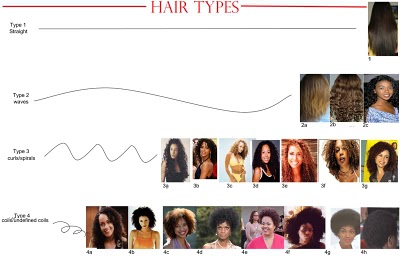 Krystal's Biracial Babies: Hair Type Chart
