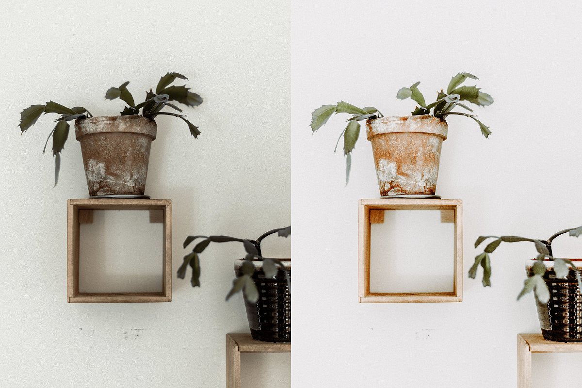 Caramel Wonders Presets (DNG, XMP)