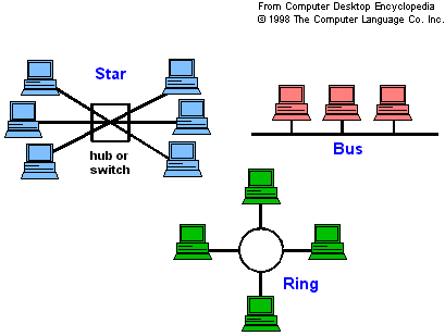 What Are Network Topologies?