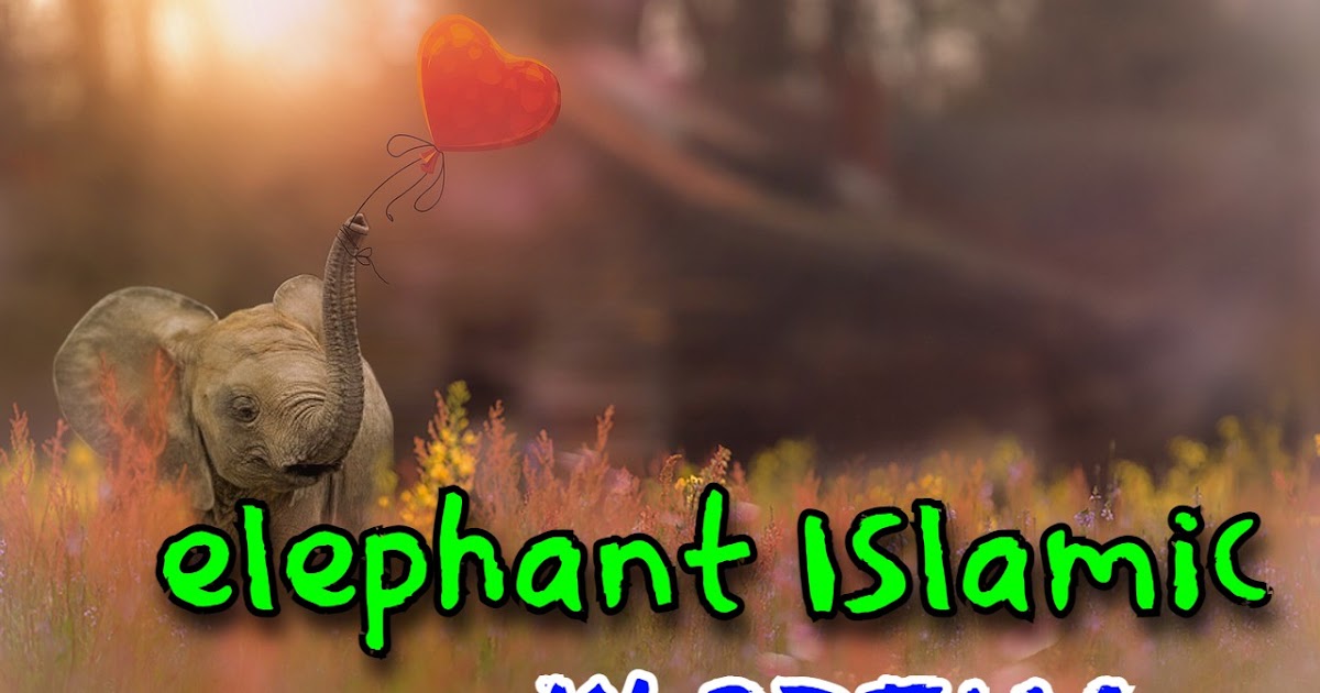 best thought Islamic interpretation of 61 ways to see an elephant in a