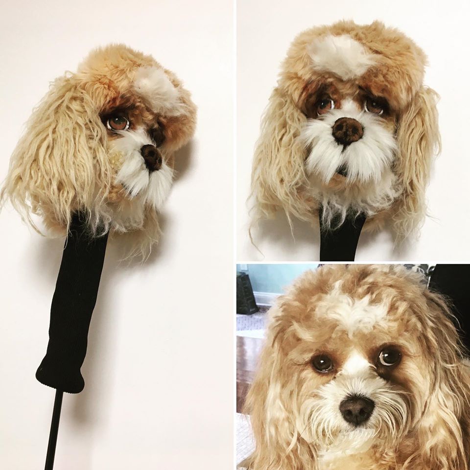 Custom Golf headcovers and puppets CAVAPOO Golf head cover