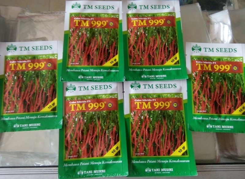 benih cabe rawit bangkok