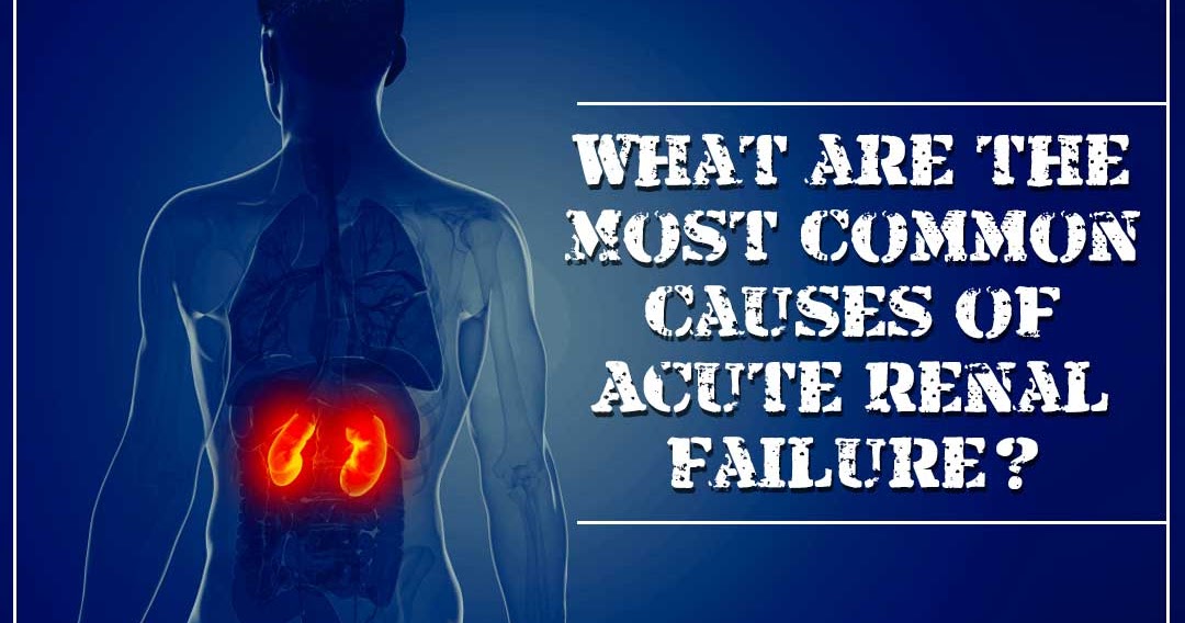 What are the Most Common Causes of Acute Renal Failure?Ayurvedic