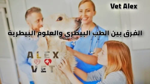 ما الفرق بين الطب البيطري والعلوم البيطرية ؟