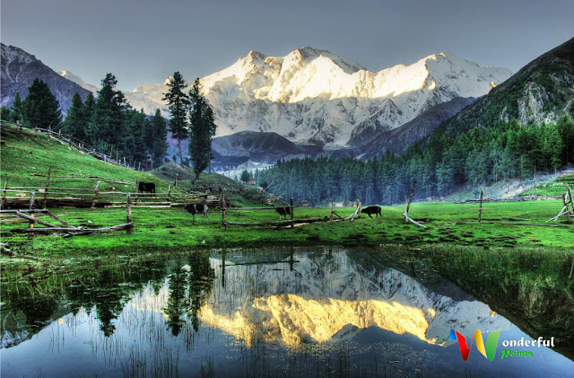 Fairy Meadows Nanga Parbat - Top 10 List Of Most Beautiful Places To Visit In Pakistan | Wonderful Points