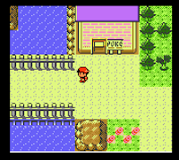 Pokemon Version Legende Screenshot 02