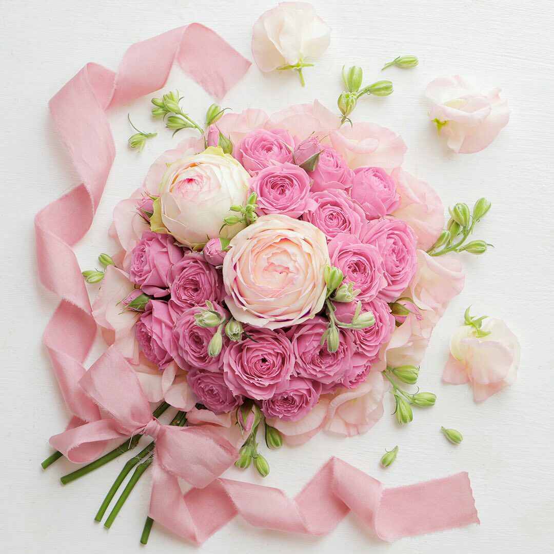 خلفيات ورد طبيعي متنوعة وجميلة