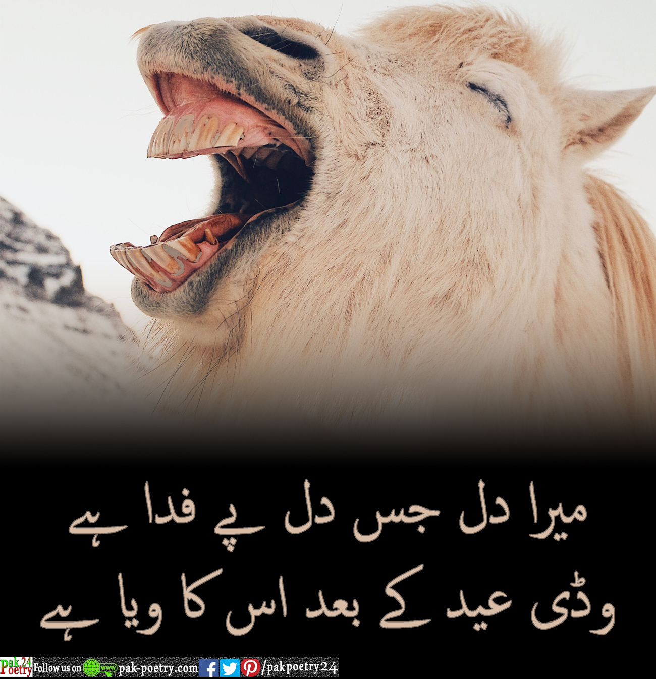 Mera dill his dill pe fda ha - Eid Special And Funny Poetry In Urdu - Pak  Poetry 24