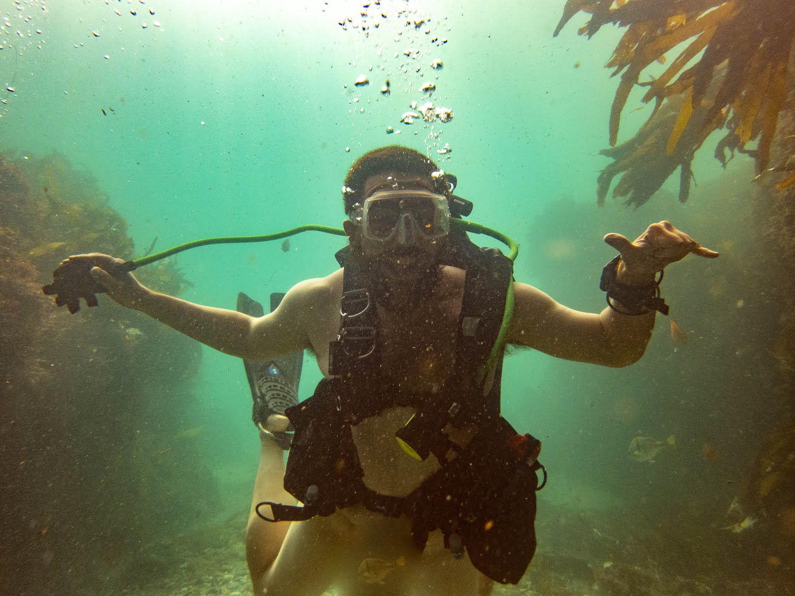 My 100th Dive (aka Naked Dive) At Shaw's Cove - First Church of The  Masochist