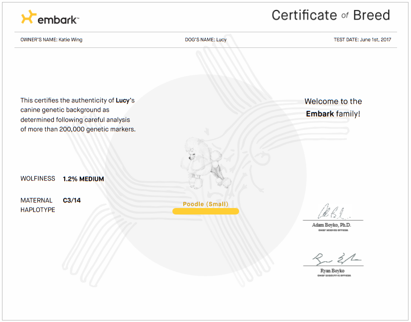 Happy & Hairless Lucy's Embark DNA Test Coupon Code Included