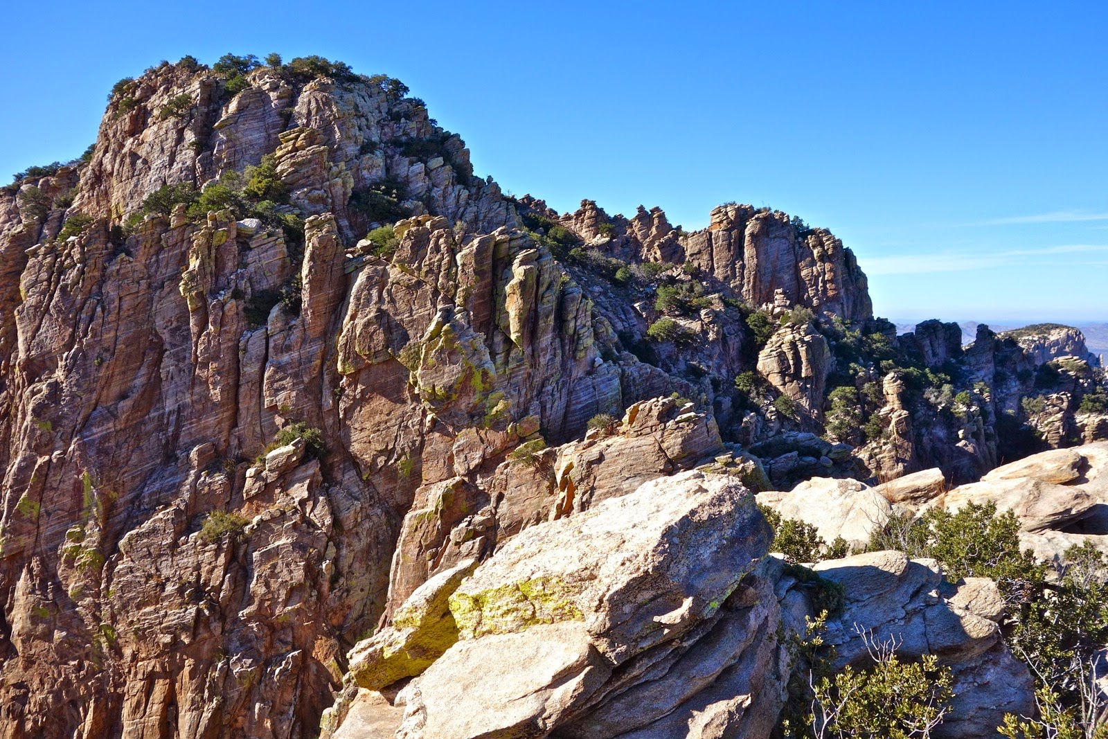 Earthline: The American West: Finger Rock Guard, 6,475', Pusch Ridge ...