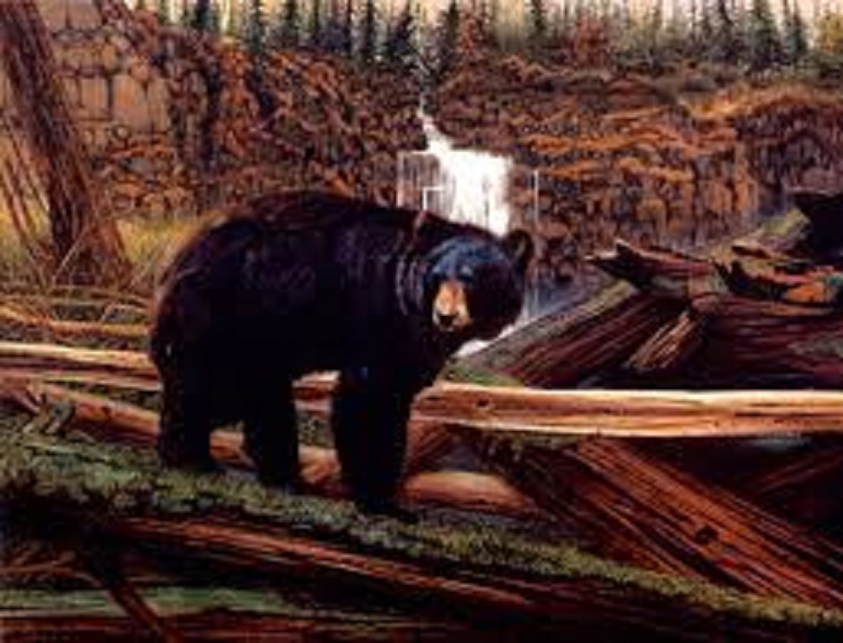 Don Marco Master Crayola Crayons Artist