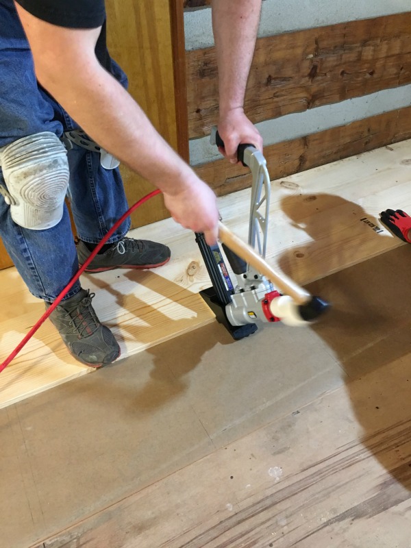 DIY Wide Plank Pine Floors [Part 1- Installation] | The Roots of Home