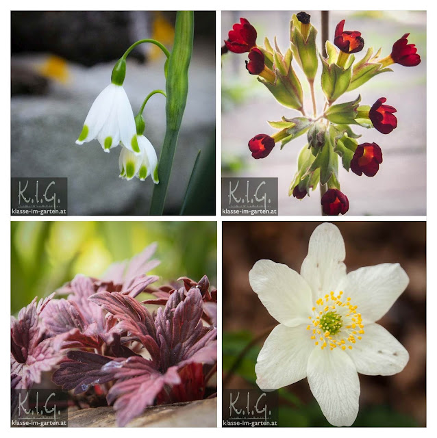 Klasse Im Garten Page 6 Chan 9849358 Rssing Com