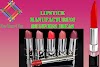 How to start a Lipstick Manufacturing Business? New Business Ideas.