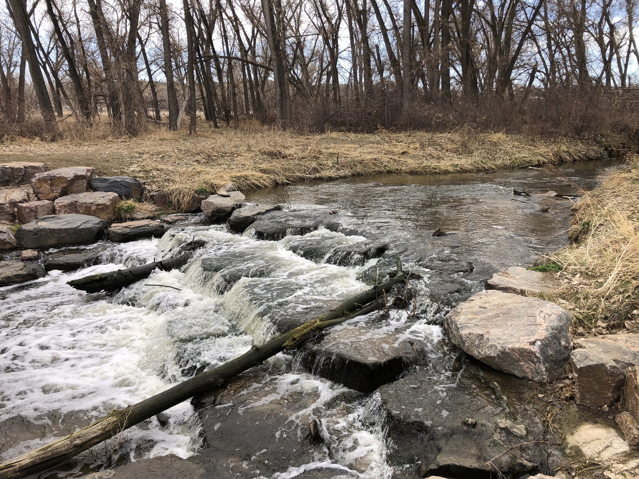 Essay about eccentrics 03 picture