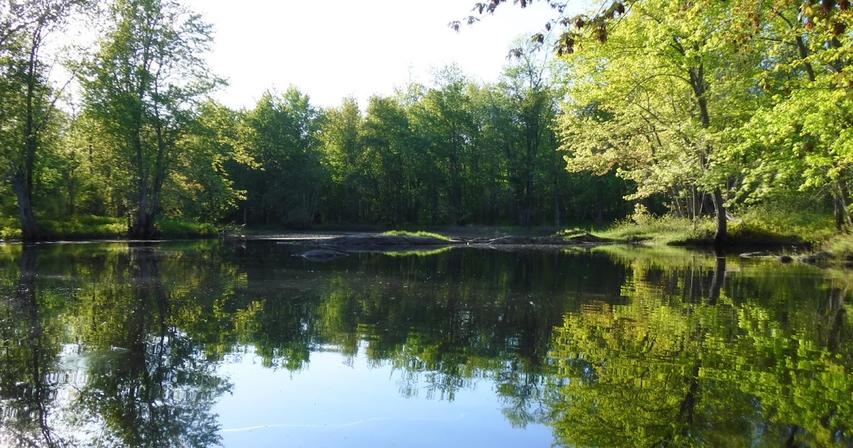 to Kayaking Hermon Pond