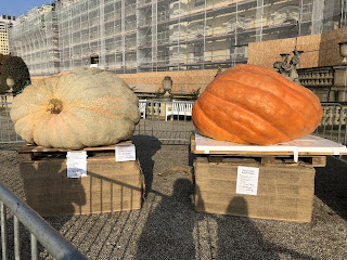 今年一番の巨大かぼちゃと可愛いこびとたち〜世界最大級のかぼちゃ祭り〜