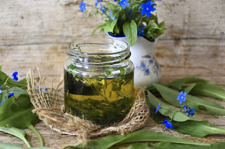 Curry Leaves Benefits For Hair Growth