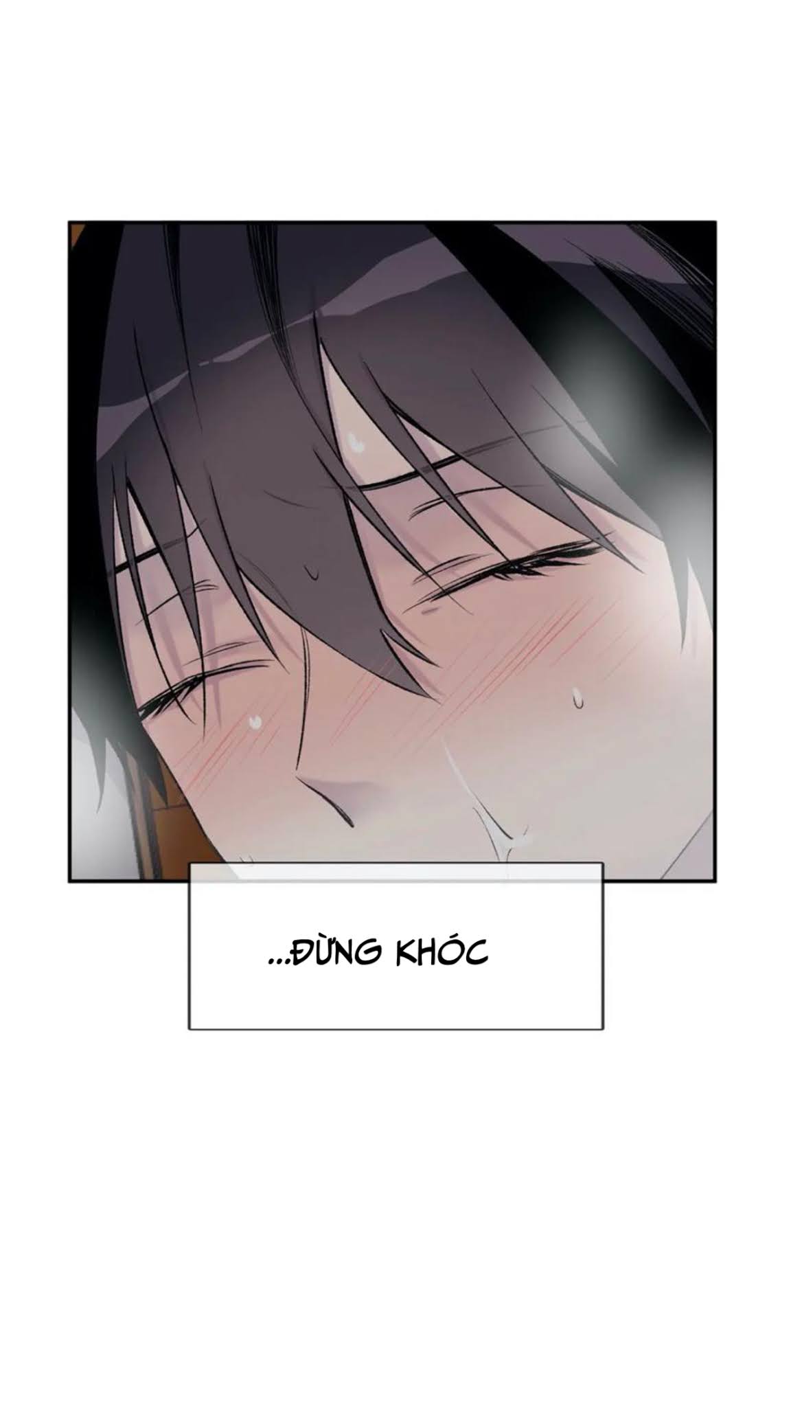 Đừng Viết Nữa, Tác Giả Thân Mến! Chapter 18 - Trang 66